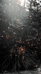 C777CA59-AC10-44B7-9D78-5401B476E5F4/L0/001