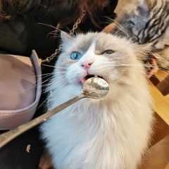 36427