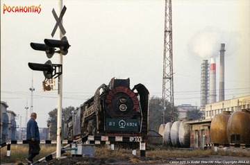 IMG_2010'