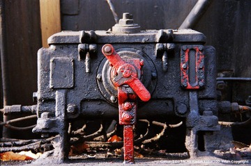 nEO_IMG_IMG_0005'.jpg
