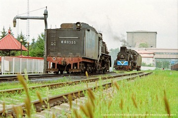 nEO_IMG_IMG_0169'.jpg
