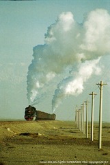 nEO_IMG_IMG_0163'.jpg