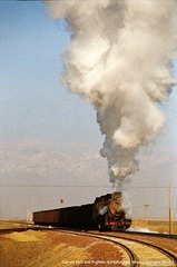 nEO_IMG_IMG_0232'.jpg