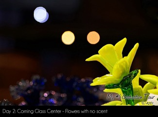 DSC_5246_day2_调整大小.JPG