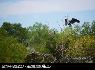 DSC_6012__调整大小.JPG