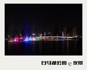 IMG_4010_
