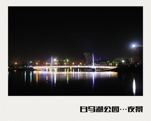 IMG_4016_