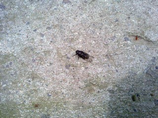 20100407006.jpg