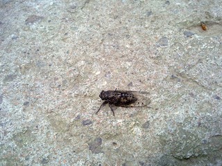 20100407007.jpg