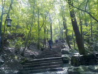 20100416017.jpg