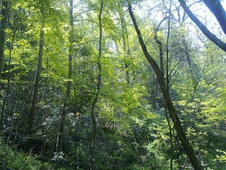 20100416018.jpg