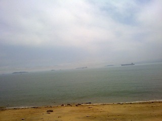 20100420019.jpg