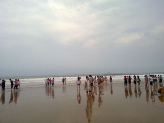 20100902196.jpg