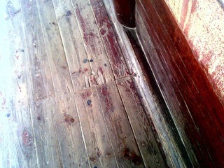 20100905220.jpg