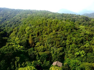 20100905222.jpg