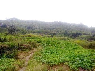 20101002268.jpg