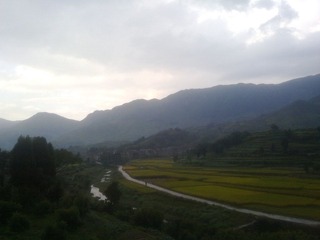 20101002274.jpg