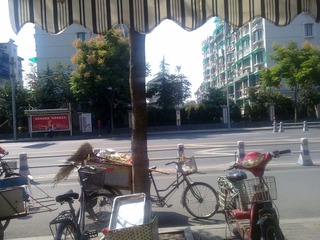 20101004296.jpg