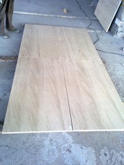 20101105312.jpg
