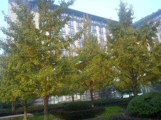 20101118320.jpg