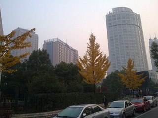 20101125333.jpg