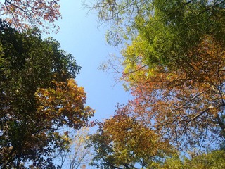 20101202336.jpg