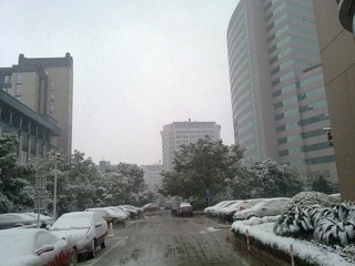 20101215342.jpg