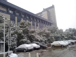 20101215343.jpg