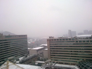 20101215350.jpg