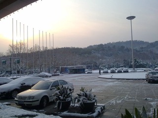 20101216352.jpg