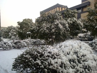 20101216356.jpg