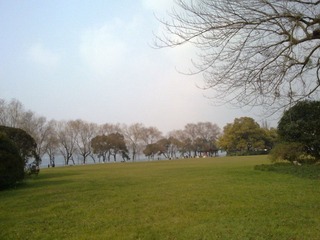 20110115452.jpg