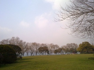 20110115453.jpg