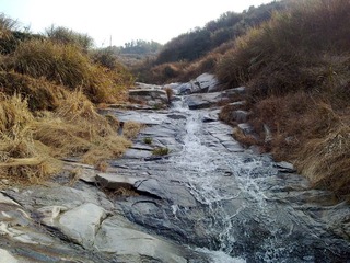 20110206463.jpg