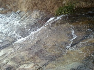 20110206464.jpg