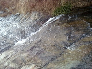 20110206465.jpg