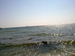 20110329513.jpg