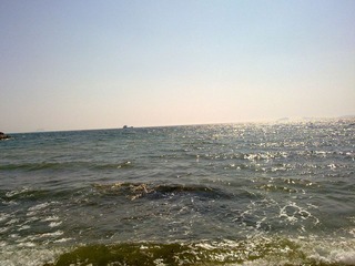 20110329514.jpg