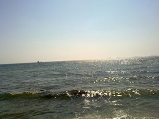 20110329515.jpg