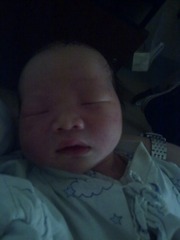 20110420531.jpg