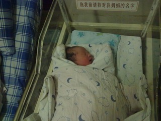 20110419530.jpg
