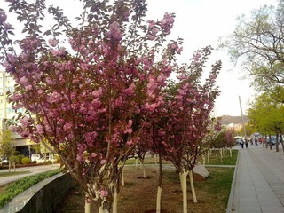 20110503532.jpg