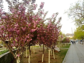 20110503533.jpg