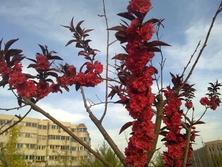 20110503534.jpg