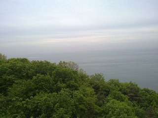 20110521549.jpg