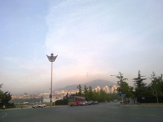 20110601555.jpg