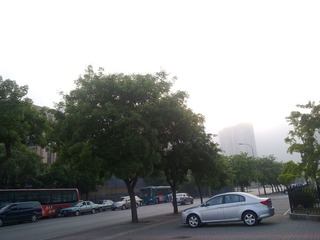 20110601557.jpg