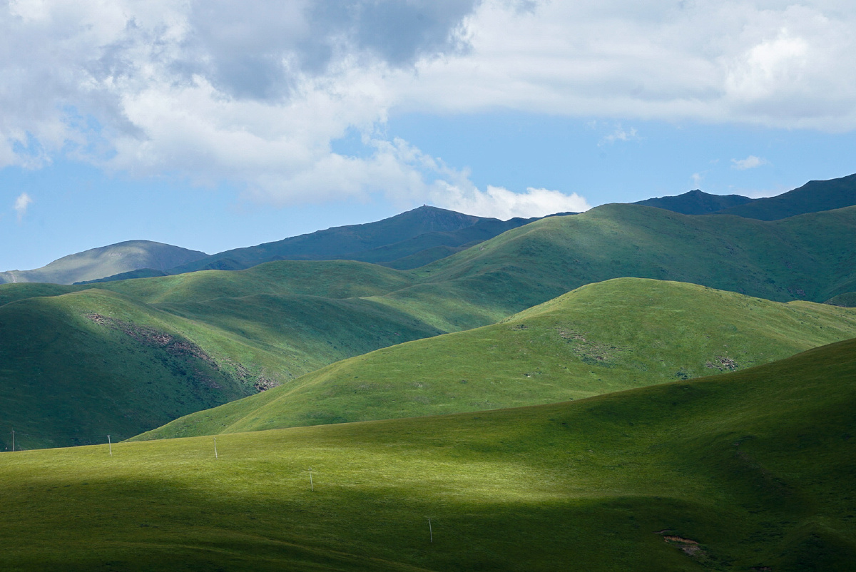 在山丘起伏的红原草原西北午后阳光在黄绿的天然地毯上温柔地撒下让我