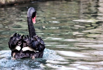 IMG_0229.jpg