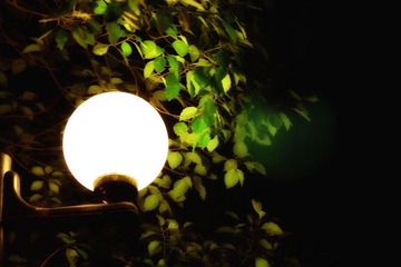 IMG_06981.jpg
